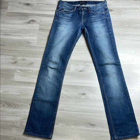 Earl Jeans Blue Straight Leg Classic Denim - Picture 1 of 14